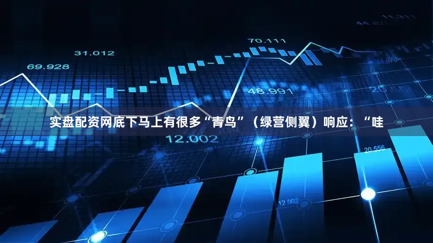 实盘配资网底下马上有很多“青鸟”（绿营侧翼）响应：“哇