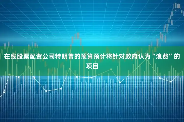 在线股票配资公司特朗普的预算预计将针对政府认为“浪费”的项目