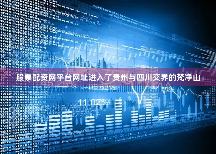 股票配资网平台网址进入了贵州与四川交界的梵净山